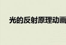 光的反射原理動畫演示（光的反射原理）
