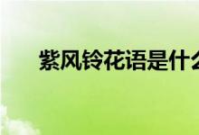 紫風鈴花語是什么（紫風鈴花語介紹）