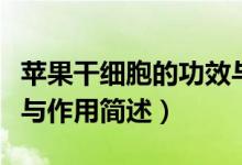 蘋(píng)果干細(xì)胞的功效與作用（蘋(píng)果干細(xì)胞的功效與作用簡(jiǎn)述）