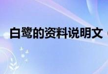 白鷺的資料說明文（白鷺說明文簡述說明）