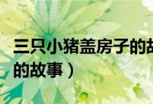 三只小豬蓋房子的故事圖片（三只小豬蓋房子的故事）