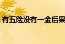有五險(xiǎn)沒(méi)有一金后果（有五險(xiǎn)沒(méi)有一金后果）