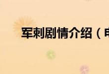 軍刺劇情介紹（電視劇軍刺劇情介紹）