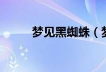 夢見黑蜘蛛（夢見黑蜘蛛好不好）