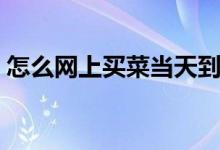 怎么網(wǎng)上買(mǎi)菜當(dāng)天到（如何網(wǎng)上買(mǎi)菜當(dāng)天到）
