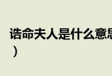 誥命夫人是什么意思啊（誥命夫人是什么意思）