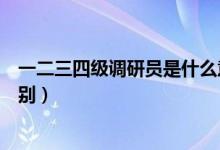 一二三四級調(diào)研員是什么意思（一二三四級調(diào)研員是什么級別）