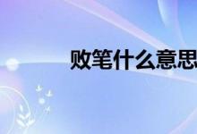 敗筆什么意思（敗筆什么意思）