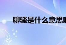 聊騷是什么意思?。尿}是什么意思）