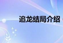追龍結局介紹（追龍結局是什么）
