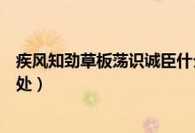 疾風知勁草板蕩識誠臣什么意思（疾風知勁草這句話出自何處）