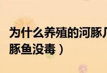 為什么養(yǎng)殖的河豚幾乎無(wú)毒（為什么養(yǎng)殖的河豚魚(yú)沒(méi)毒）