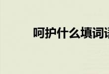 呵護(hù)什么填詞語（呵護(hù)什么意思）