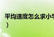 平均速度怎么求小學題（平均速度怎么求物理）