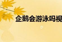 企鵝會(huì)游泳嗎視頻（企鵝會(huì)游泳嗎）