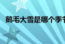 鵝毛大雪是哪個季節(jié)（鵝毛大雪是成語嗎）
