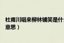杜甫川唱來柳林鋪笑是什么意思（杜甫川唱來柳林鋪笑什么意思）