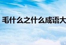 毛什么之什么成語大全（毛什么之什么成語）