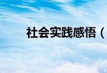 社會實踐感悟（社會實踐感悟范文）