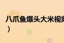 八爪魚爆頭大米視頻(八爪魚爆頭大米是什么)