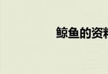 鯨魚的資料（鯨魚簡(jiǎn)介）