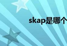 skap是哪個(gè)國(guó)家的鞋子品牌
