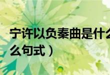 寧許以負(fù)秦曲是什么句式（寧許以負(fù)秦曲是什么句式）