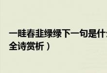 一畦春韭綠綠下一句是什么（一畦春韭綠的下一句是什么及全詩賞析）