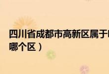 四川省成都市高新區(qū)屬于哪個(gè)區(qū)(四川省成都市高新區(qū)屬于哪個(gè)區(qū))