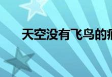 天空沒(méi)有飛鳥的痕跡（天空沒(méi)有下雨）
