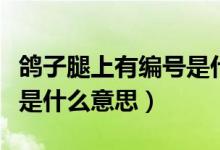 鴿子腿上有編號(hào)是什么意思（鴿子腿上有編號(hào)是什么意思）