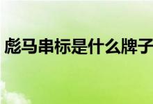 彪馬串標是什么牌子（彪馬串標是什么意思）