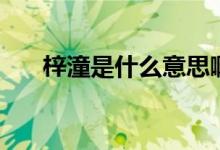 梓潼是什么意思?。ㄨ麂鞘裁匆馑迹?class=