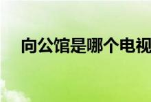向公館是哪個電視劇(下面為大家講解)