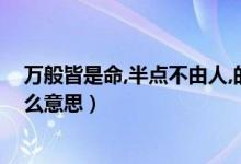 萬般皆是命,半點不由人,的意思（萬般皆是命半點不由人什么意思）