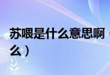 蘇喂是什么意思?。ňW(wǎng)絡(luò)用語(yǔ)蘇喂的意思是什么）