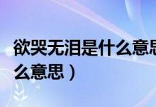 欲哭無(wú)淚是什么意思?。ㄓ逕o(wú)淚的意思是什么意思）