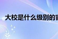 大校是什么級(jí)別的官職（大校是什么級(jí)別）