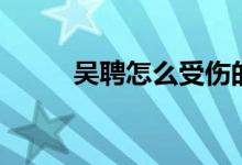 吳聘怎么受傷的（吳聘怎么死的）
