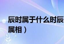 辰時(shí)屬于什么時(shí)辰（辰時(shí)屬什么 辰時(shí)是什么屬相）