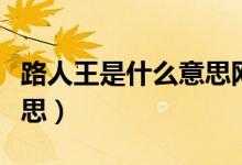 路人王是什么意思網(wǎng)絡(luò)用語(yǔ)（路人王是什么意思）
