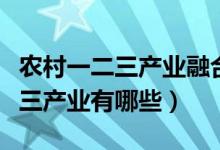 農(nóng)村一二三產(chǎn)業(yè)融合發(fā)展試點項目(農(nóng)村一二三產(chǎn)業(yè)有哪些)