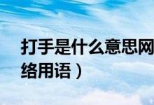 打手是什么意思網絡用語（ds是什么意思網絡用語）