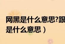 網(wǎng)黑是什么意思?跟黑戶又有什么區(qū)別?（網(wǎng)黑是什么意思）