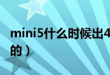 mini5什么時(shí)候出4g版（mini5什么時(shí)候上市的）