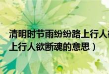 清明時節(jié)雨紛紛路上行人欲斷魂的詩名（清明時節(jié)雨紛紛路上行人欲斷魂的意思）