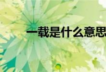 一載是什么意思呢（一載是多少年）