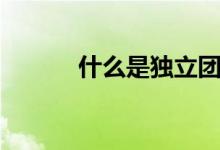 什么是獨立團(tuán)（什么是獨贏盤）