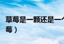草莓是一顆還是一個呀(一個草莓還是一顆草莓)
