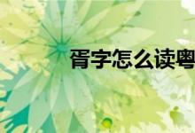 胥字怎么讀粵語（胥字怎么讀）